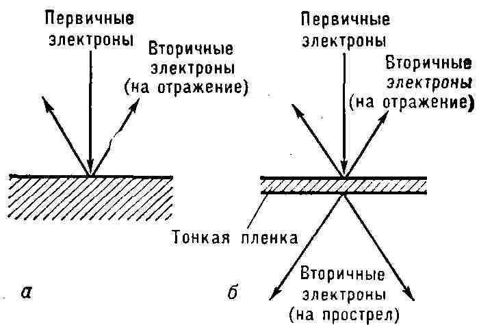 0537-2.jpg