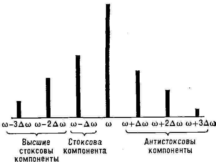 0539-15.jpg