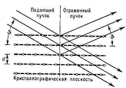 10083-5.jpg