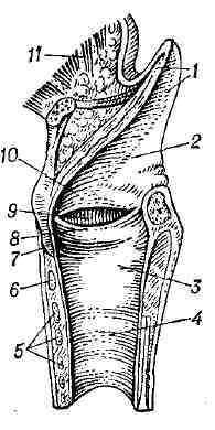 0702-29.jpg