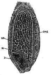 927-12.jpg
