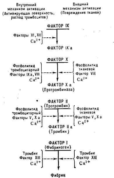 2303-3.jpg