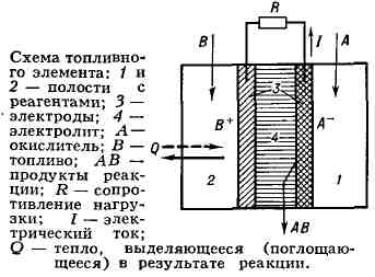 2605-11.jpg