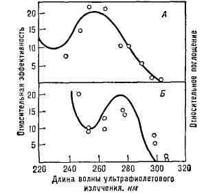 2633-7.jpg