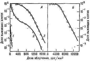 2633-8.jpg